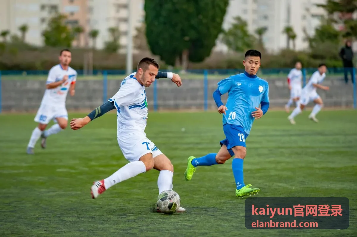 kaiyun官网登录账号与密码输入校验示意